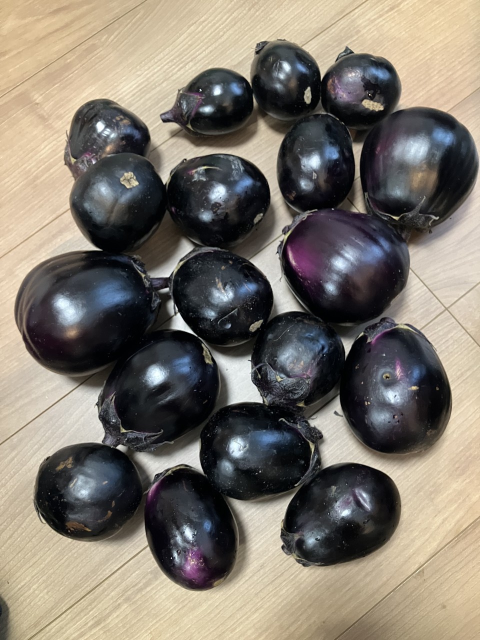 新処ナス